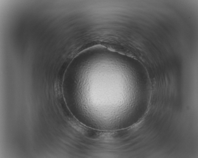 X0000068730182200605011009