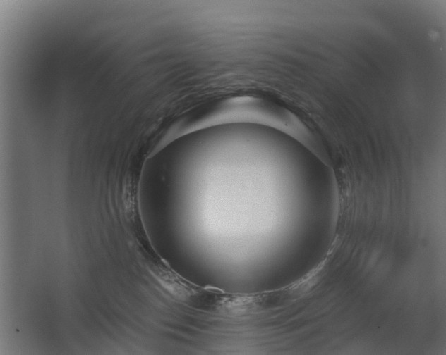 X0000068730186200605011009