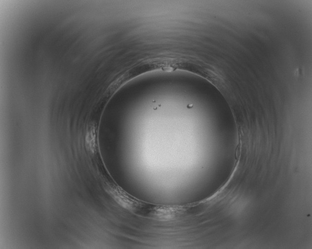 X0000068730190200605011009