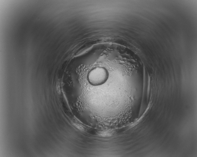 X0000068730191200605011009