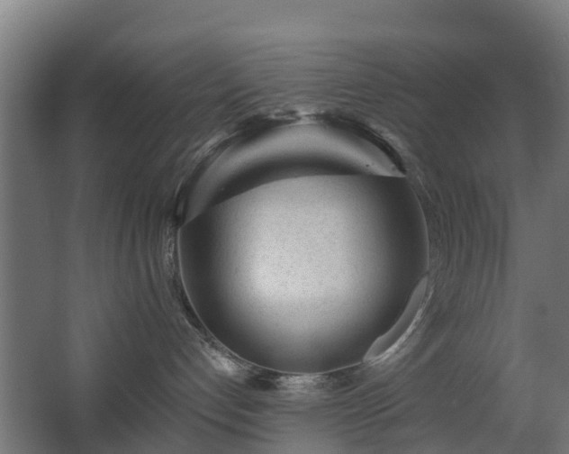 X0000068730192200605011009