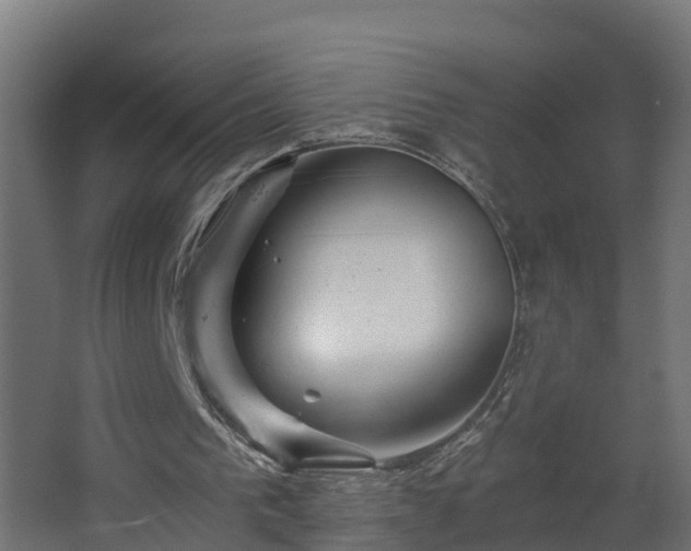 X0000068730193200605011008