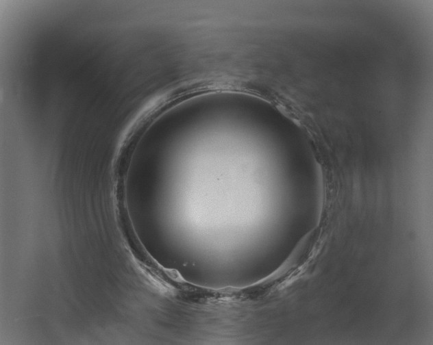 X0000068730197200605011008