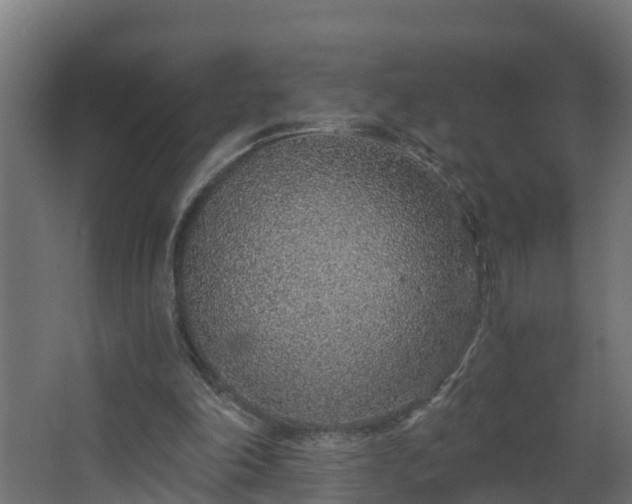 X0000068730198200605011008