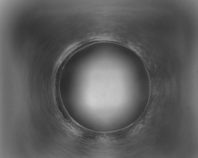 X0000068730199200605011008