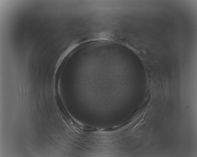 X0000068730200200605011008