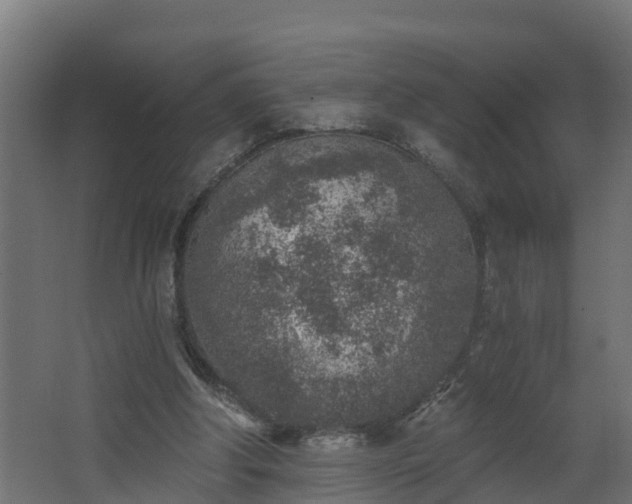 X0000068730202200605011008