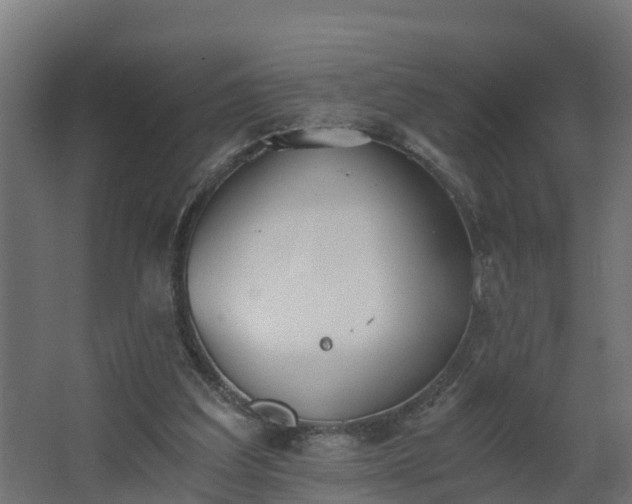 X0000068730203200605011008