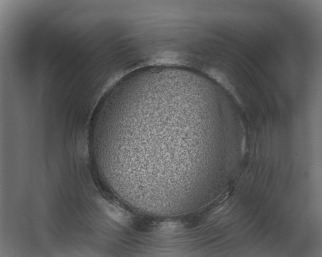 X0000068730204200605011008