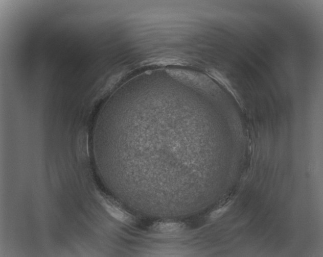 X0000068730205200605011008