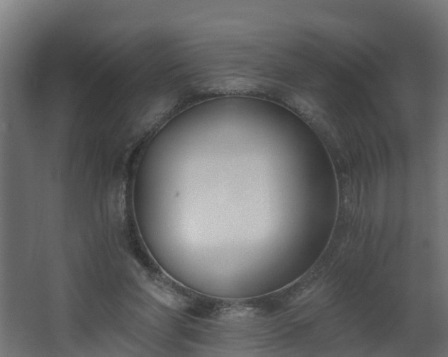 X0000068730206200605011008