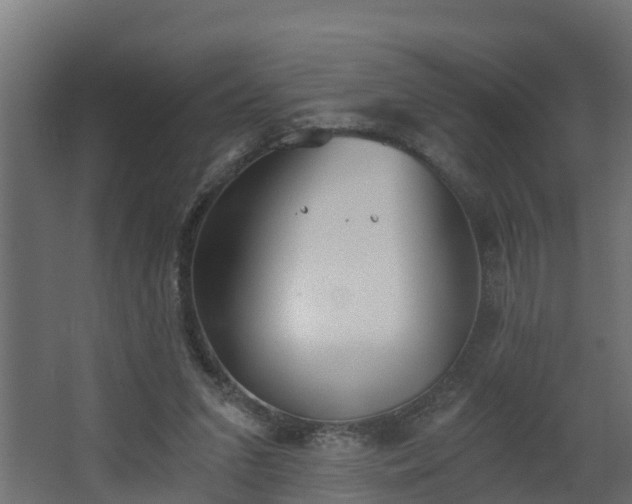 X0000068730207200605011008