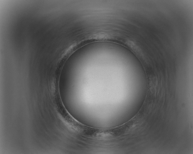 X0000068730208200605011008