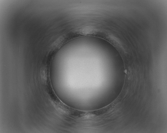 X0000068730210200605011008