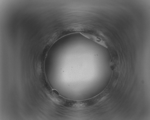 X0000068730213200605011008