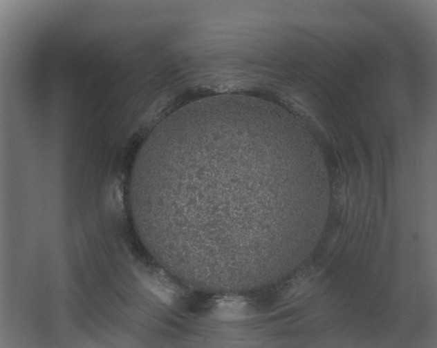 X0000068730214200605011008