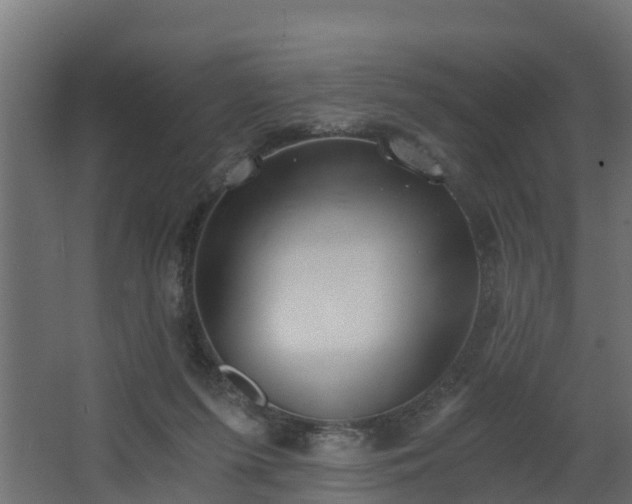 X0000068730215200605011008