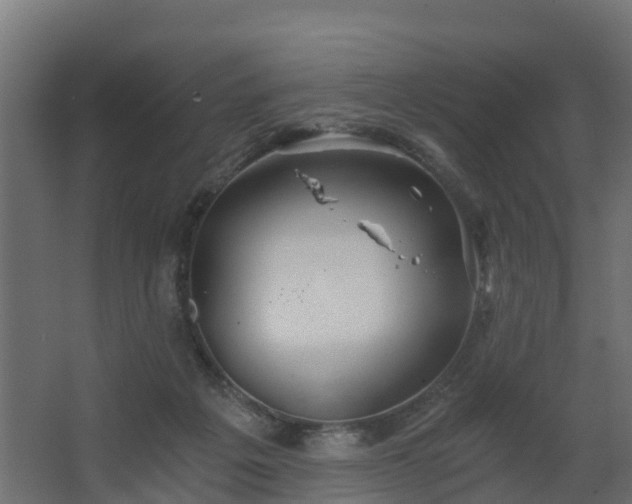 X0000068730217200605011008