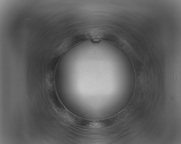 X0000068730218200605011008