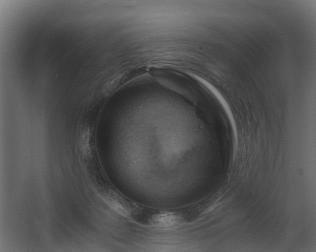 X0000068730219200605011008