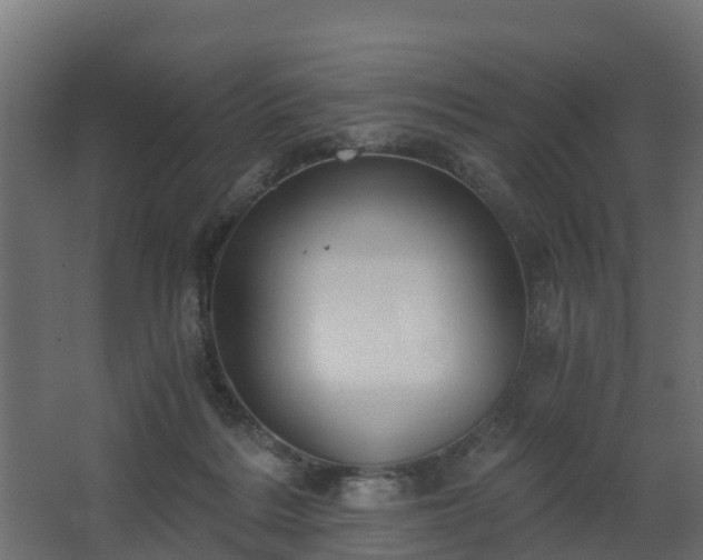 X0000068730220200605011007