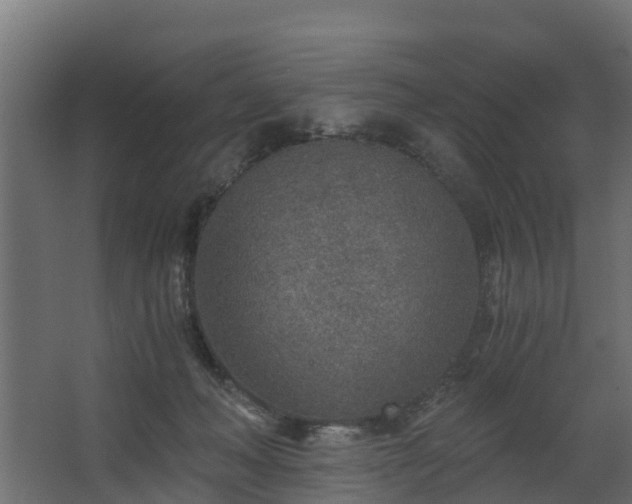 X0000068730222200605011007