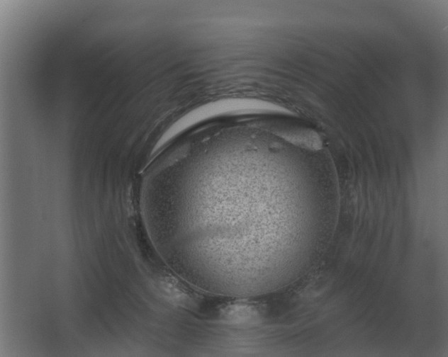 X0000068730224200605011007