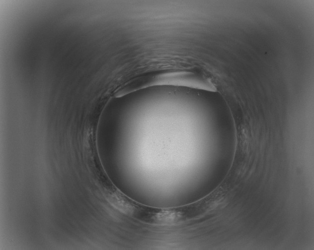 X0000068730225200605011007