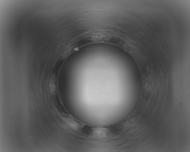 X0000068730226200605011007