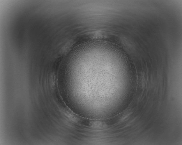 X0000068730230200605011007