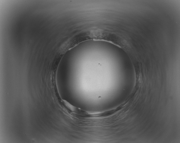 X0000068730233200605011007