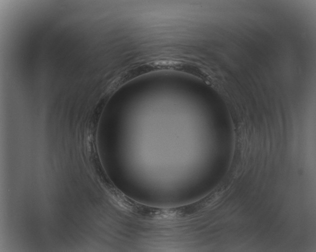 X0000068730235200605011007