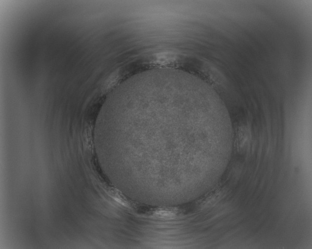 X0000068730236200605011007