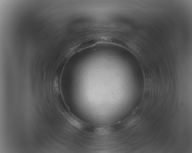 X0000068730238200605011007