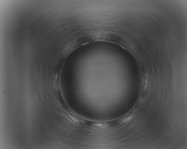 X0000068730239200605011007