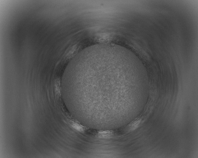 X0000068730240200605011007