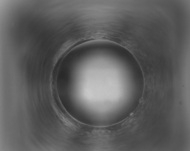 X0000068730242200605011006