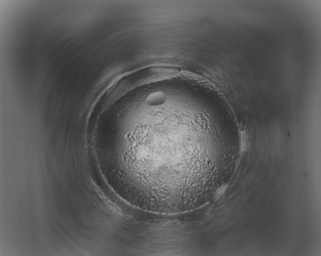 X0000068730243200605011006