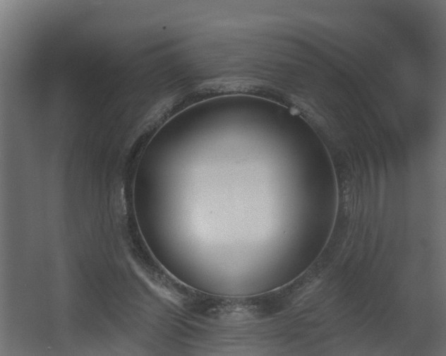 X0000068730254200605011007