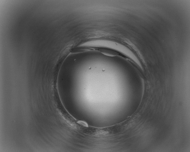 X0000068730257200605011007