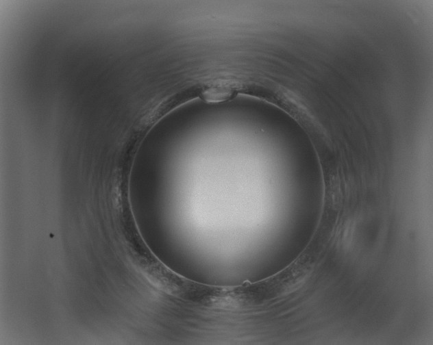 X0000068730259200605011007