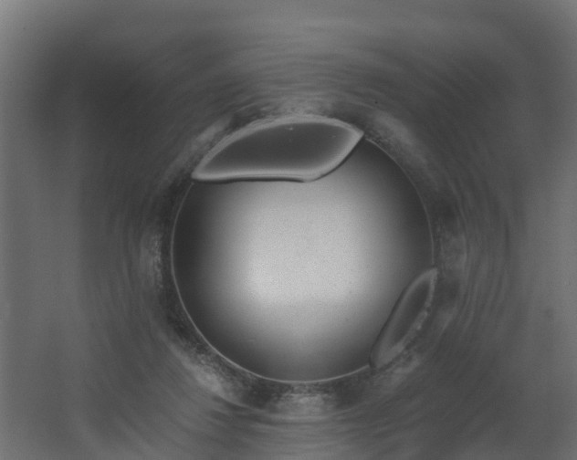 X0000068730260200605011007