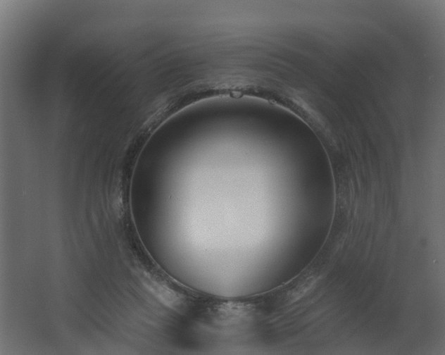 X0000068730261200605011007