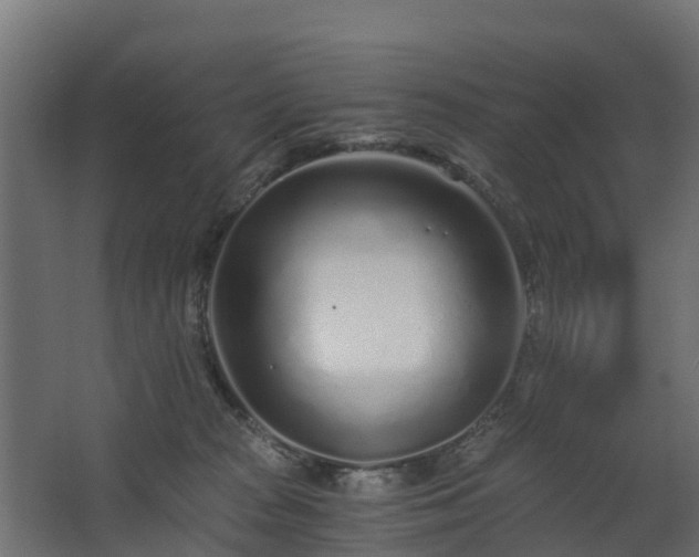 X0000068730277200605011007