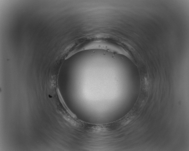 X0000068730284200605011007