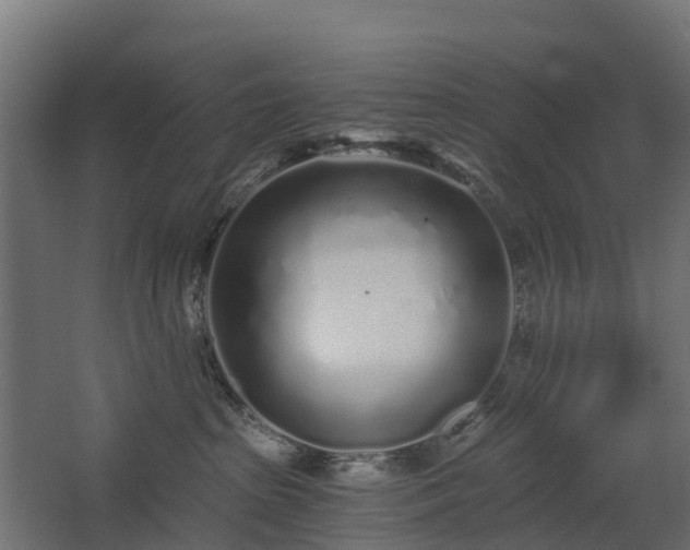 X0000068730285200605011007