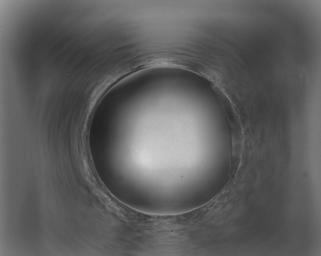 X0000068730289200605011006