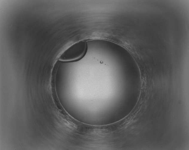 X0000068730292200605011006