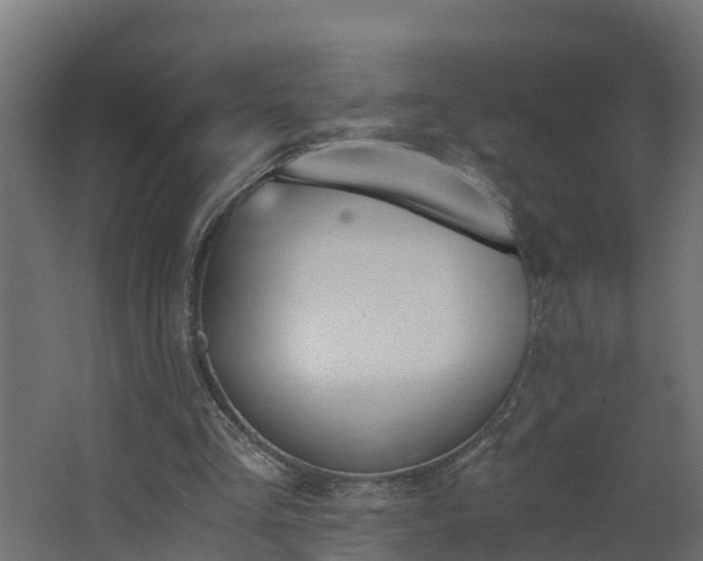 X0000068730293200605011006