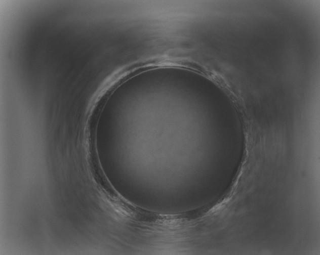 X0000068730295200605011006